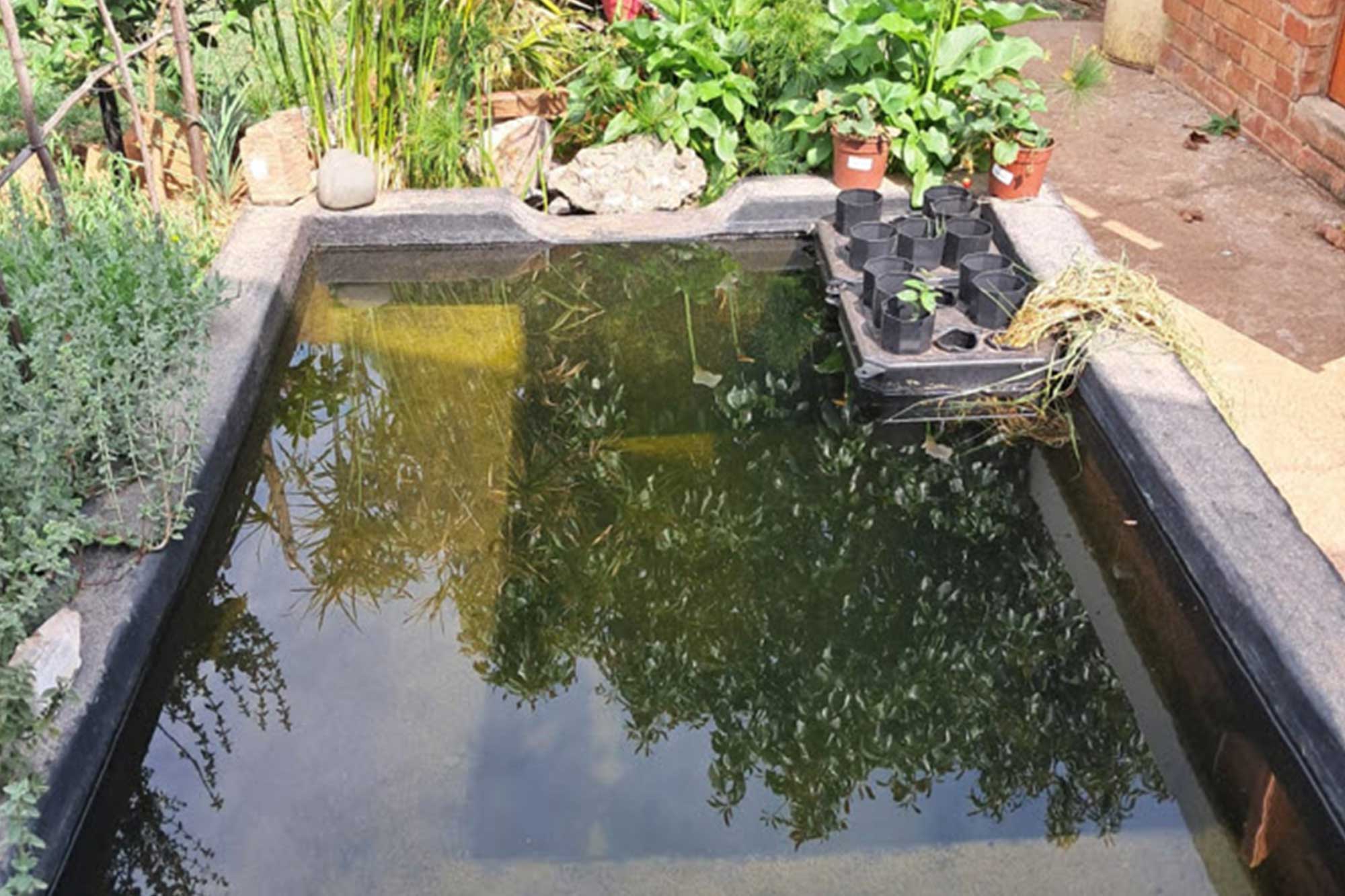 ponds